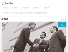 Tablet Screenshot of profiler-consulting.com